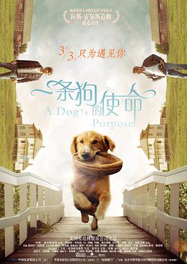 国产精品免费一区二区三区观看